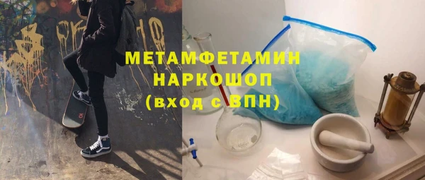 крисы Бородино