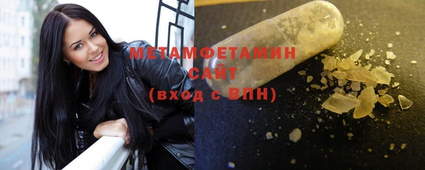 крисы Бородино
