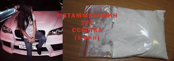 крисы Бородино