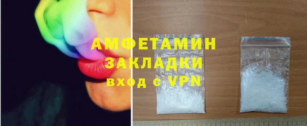 крисы Бородино