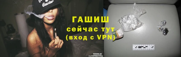 крисы Бородино