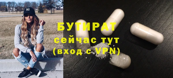 крисы Бородино