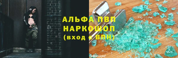 крисы Бородино