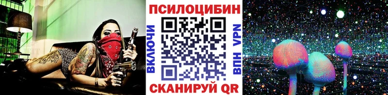 Купить закладки  Кемь  Псилоцибиновые грибы мухоморы 
